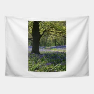 Bluebell Wood Tapestry