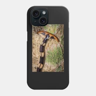 Unique and organic photo of a hammerhead flatworm Phone Case