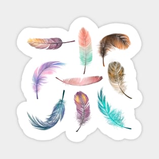 Fabulous Feathers Magnet