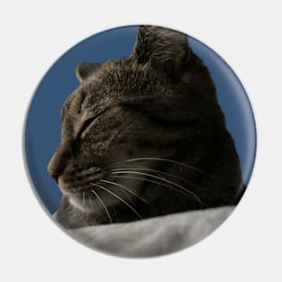 Sleeping Tabby Pin