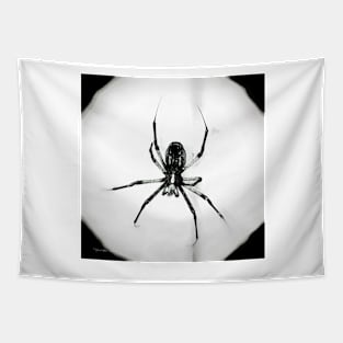Spyder - Black and White Tapestry