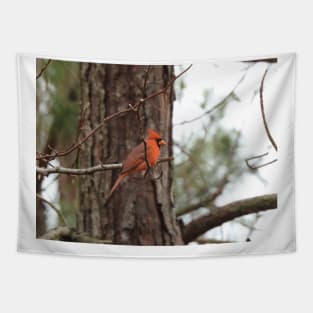 Male Northern Cardinal Tapestry