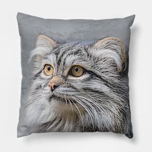 Pallas Cat Portrait Pillow