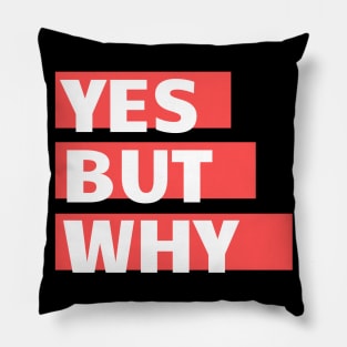 Yes but why? Pillow