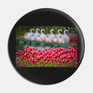 Boston Public Garden Spring Tulips and Swan Boats Pin