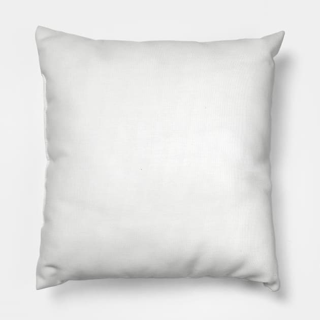 Alaska HOME Pillow by blueduckstuff