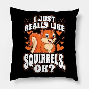 I Just Really Like Squirrels OK Funny Animal Nature Lover Pillow