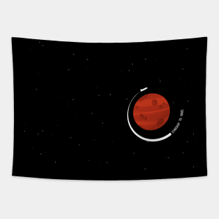 Starship to Mars Tapestry