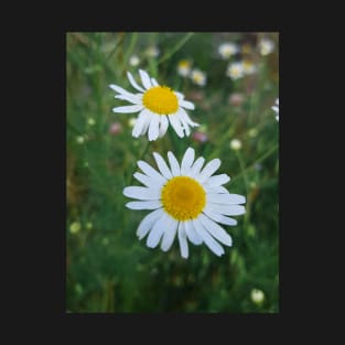 Beautiful Summer Flowers T-Shirt