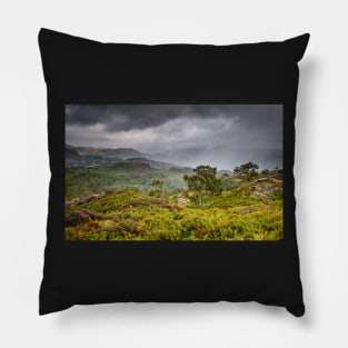 Holme Fell Rain Showers Pillow