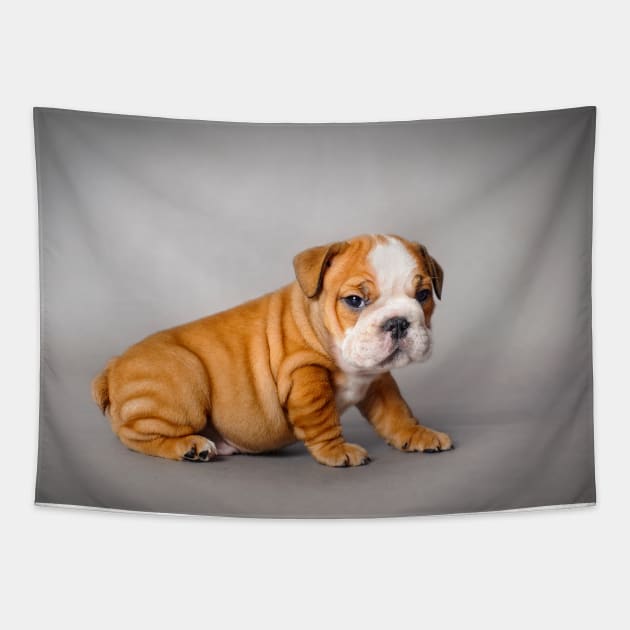 Bulldog puppy Tapestry by PetsArt