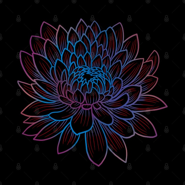 Colorful chrysanthemum or Mums flower drawing - light blue faded to red and purple by DaveDanchuk