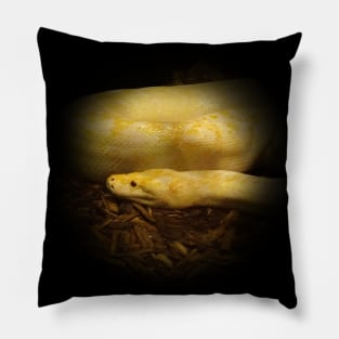 Albino python Pillow