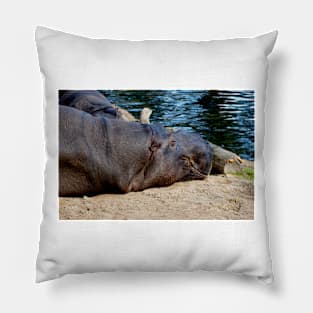 Harry The Happy Hippo Pillow