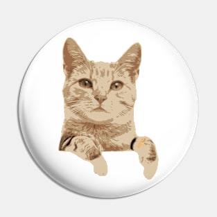 Cute Cat Pin