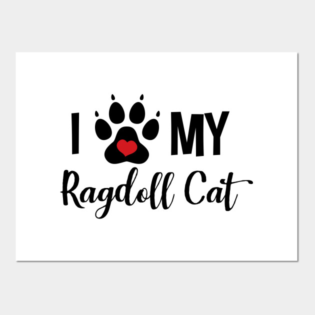 I Love My Ragdoll Cat Ragdoll Cat Posters And Art Prints Teepublic