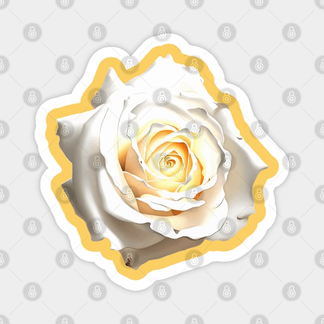 White Rose Art Vector Magnet by taiche