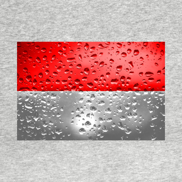 Flag Of Indonesia Raindrops Indonesia T Shirt Teepublic