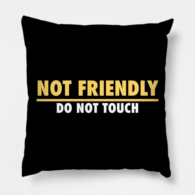 Not Friendly, do not touch, funny Pillow by PNFDesigns