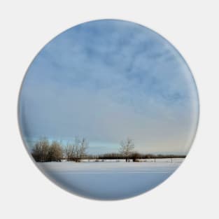 Alberta Winter 02 Pin