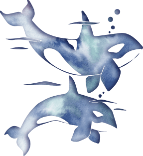 Blue Sea Orca Whales Magnet