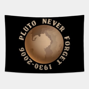 Never Forget Pluto Space Graphic Planet Tee Tapestry