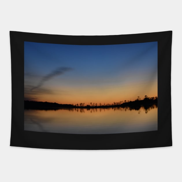 Reflections at Sunset Tapestry by ToniaDelozier