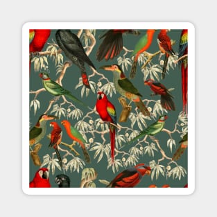 Tropical birds - green Magnet