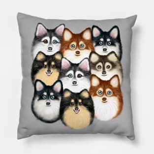 Cute Pomsky Dogs Pillow