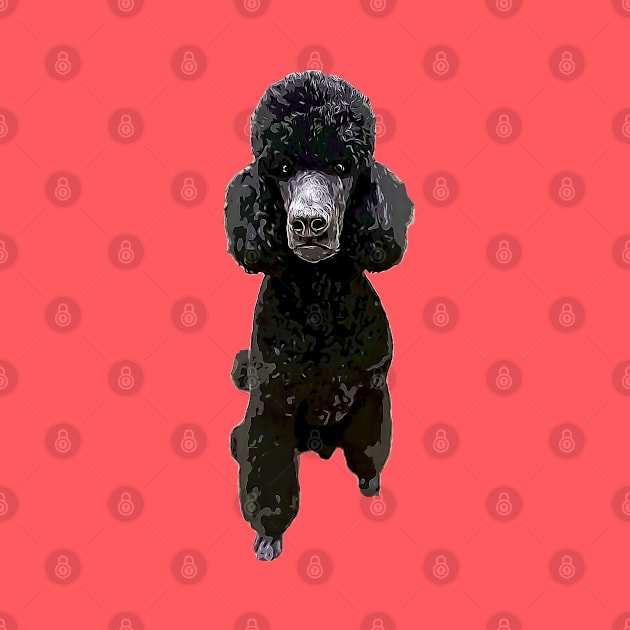 Poodle Gorgeous Style! by ElegantCat