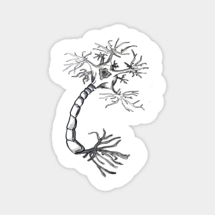 Neuron Magnet