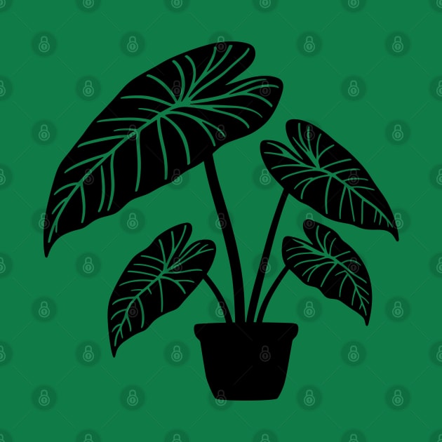 Alocasia Plant by KayBee Gift Shop