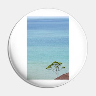 Small tree and big vast ocean scenery Pin