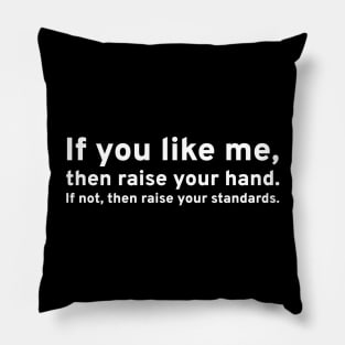 If you like me, then raise your hand. If not, then raise your standards. Pillow