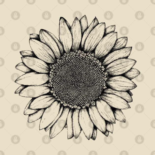 Sunflower by VectorInk