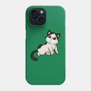 Stray Kitties Oreo01 Phone Case