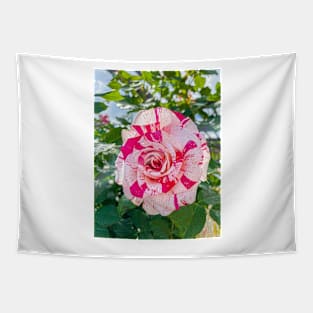 Splatter Rose Tapestry