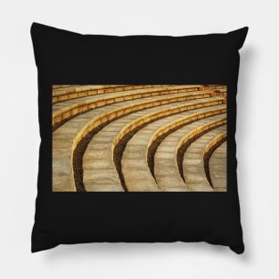 'Talons' (amphitheater) Pillow