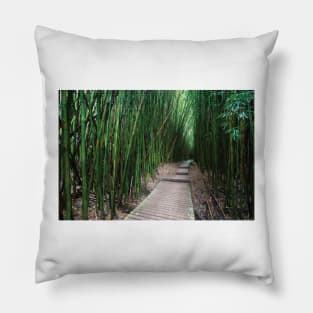 Boardwalk Through Bamboo Pipiwai Trail Hakeakala National Park Kipahulu Pillow