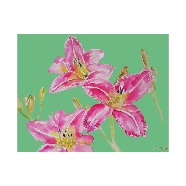 Pink Lily Flower Watercolor Painting Pattern - on Apple Green by SarahRajkotwala