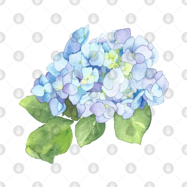 Blue Hydrangea, floral watercolor painting by Sharon Rose Art