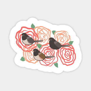 Junco Trio on Roses Magnet