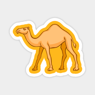 Camel Magnet