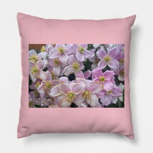 Clematis Pillow