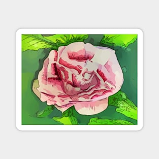 peonies flower Magnet