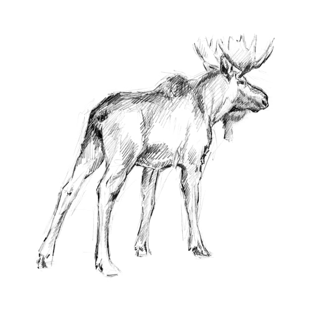 Bull Moose sketch by RebeccaLatham