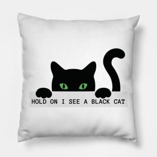 Hold on I see a Black Cat Pillow