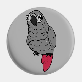 African grey parrot Derpy Pin
