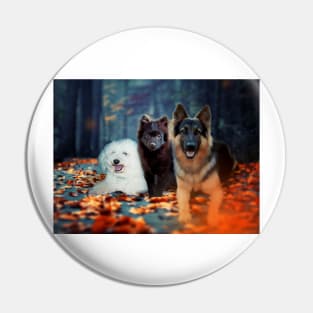 Dogs in the Fall Pin