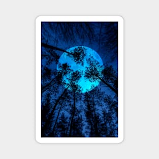 Trees By Moonlight Magnet